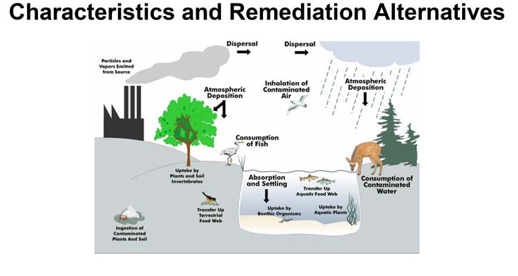 PFAS Updates